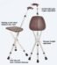 عكاز مع كرسي قابل للطي Medical chair with walking cane