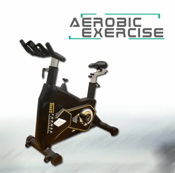 Cruise Spin Bike