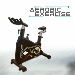 Cruise Spin Bike