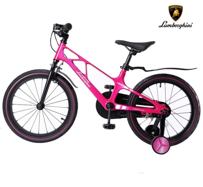 Bicycle Lamborghini