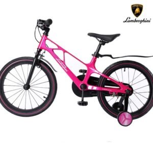 Lamborghini Bicycle