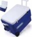 حافظة ثلج متنقلة Takeaway cooler box