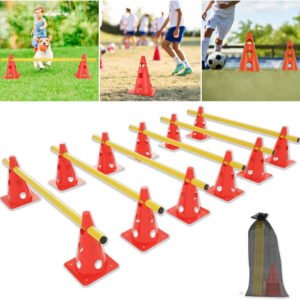 Training cones with stick