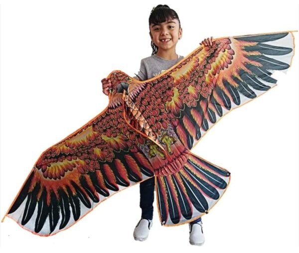 طائرة ورقية